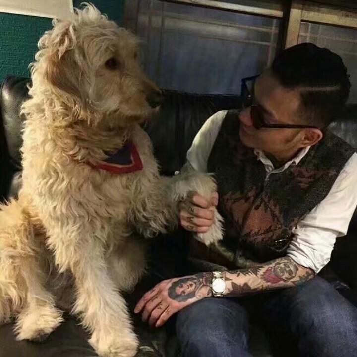 梟明～