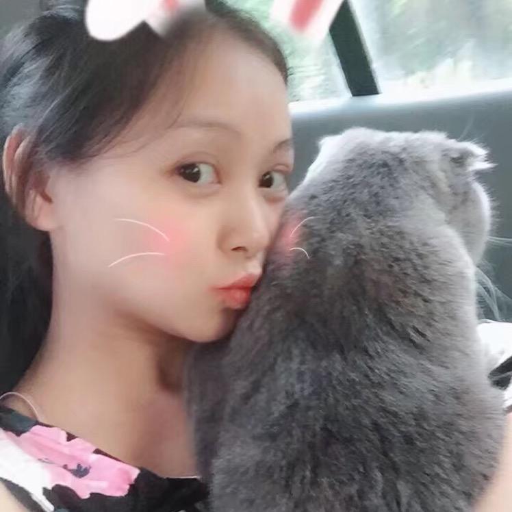 两只折宝宝