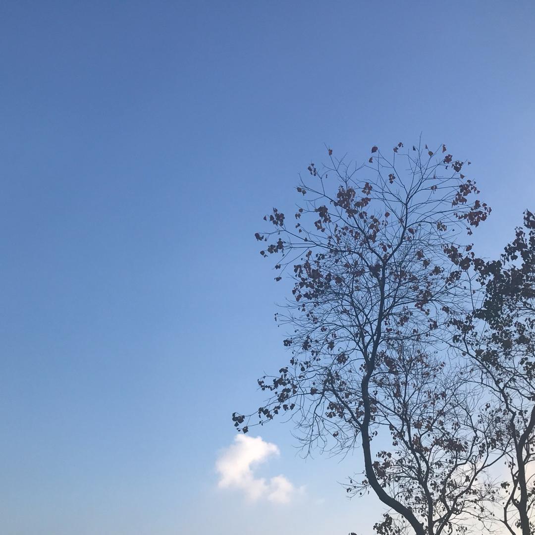 嘿嘿搞笑了