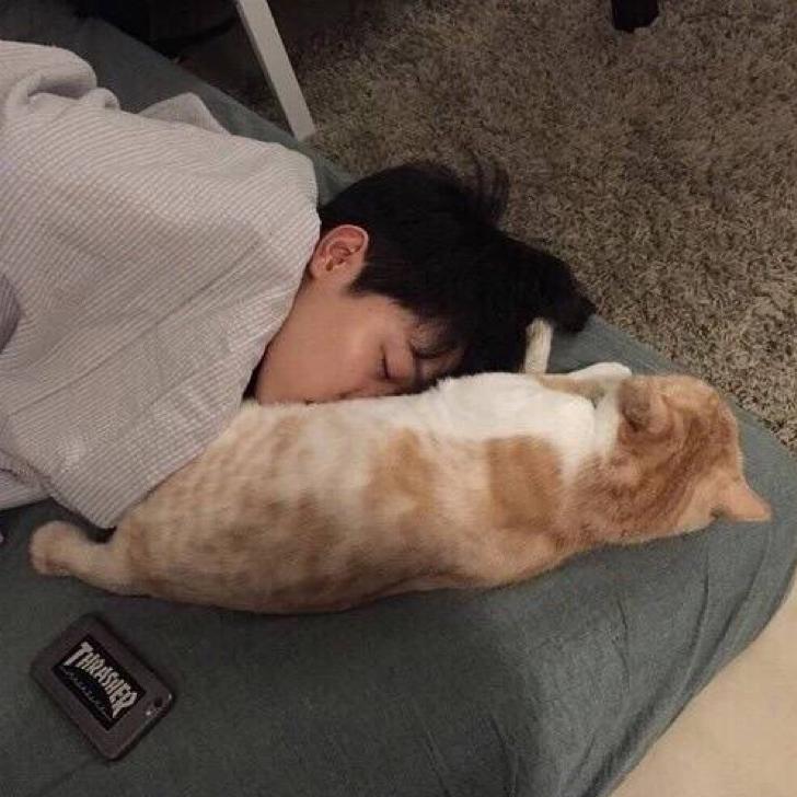 柠檬果汁分你一半