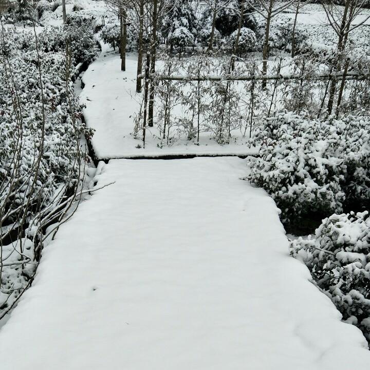 孩子他妈
