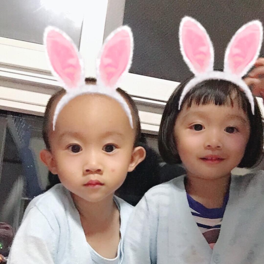 🍮果冻布丁🍮