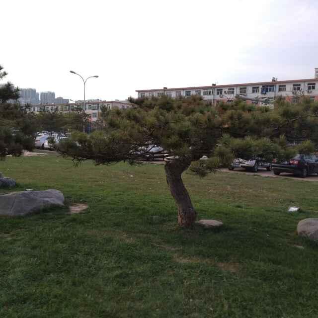 专业刮腻子内外墙喷漆，水电安装，古代建筑