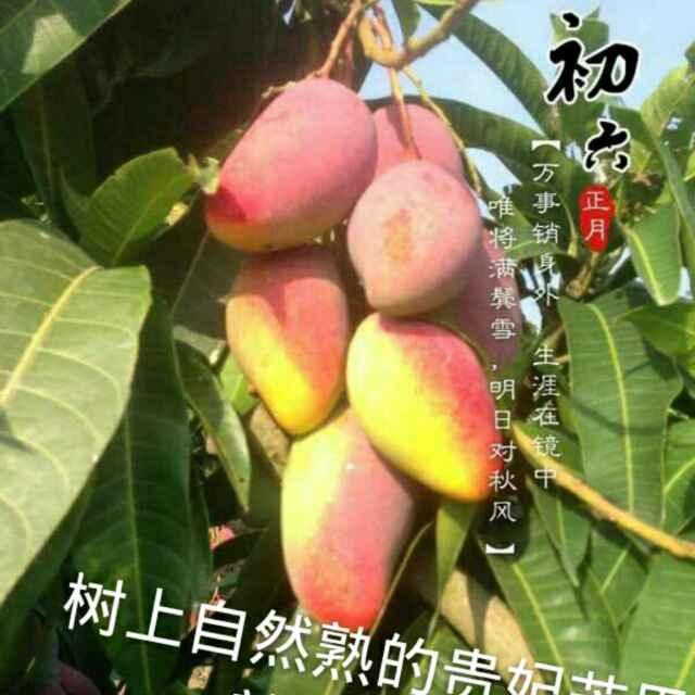 特想