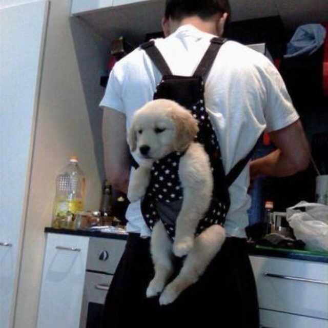 大胜