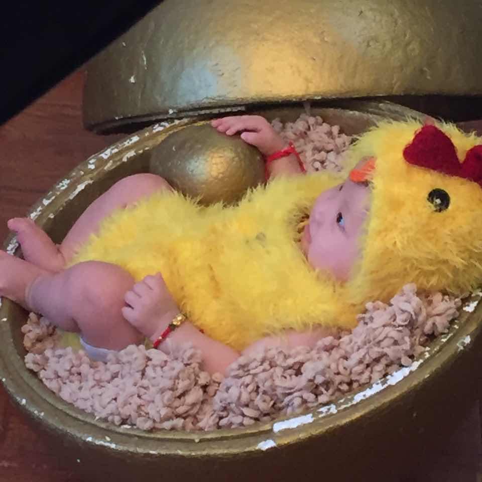 来年秋风起 我等故人归