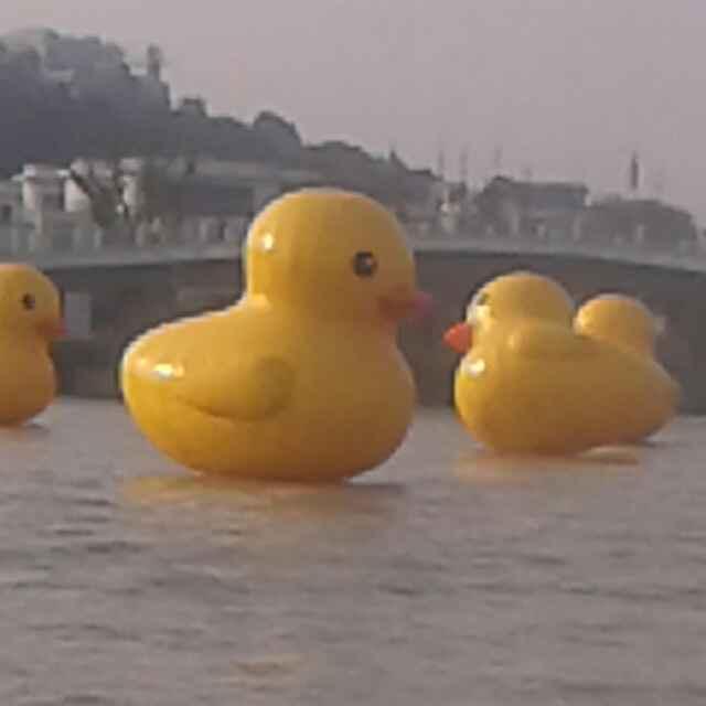 钓鱼人，吴小宝