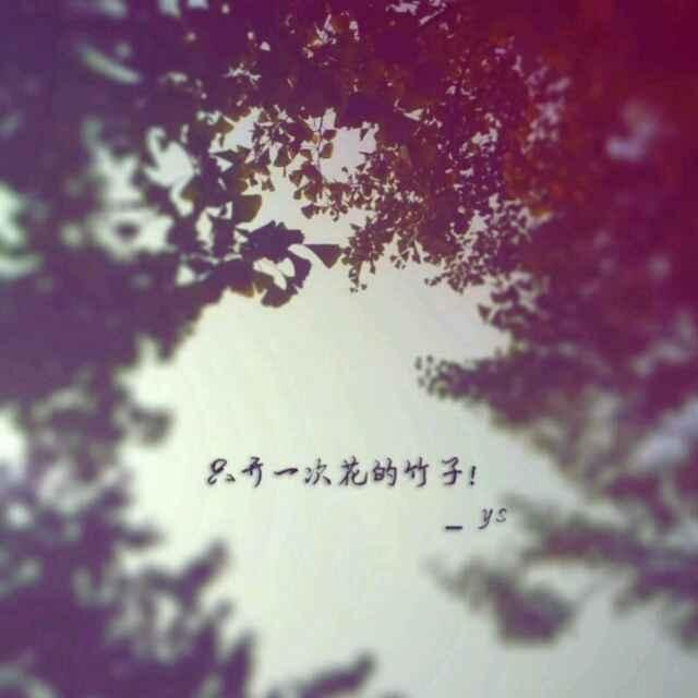 水煮沉浮LY