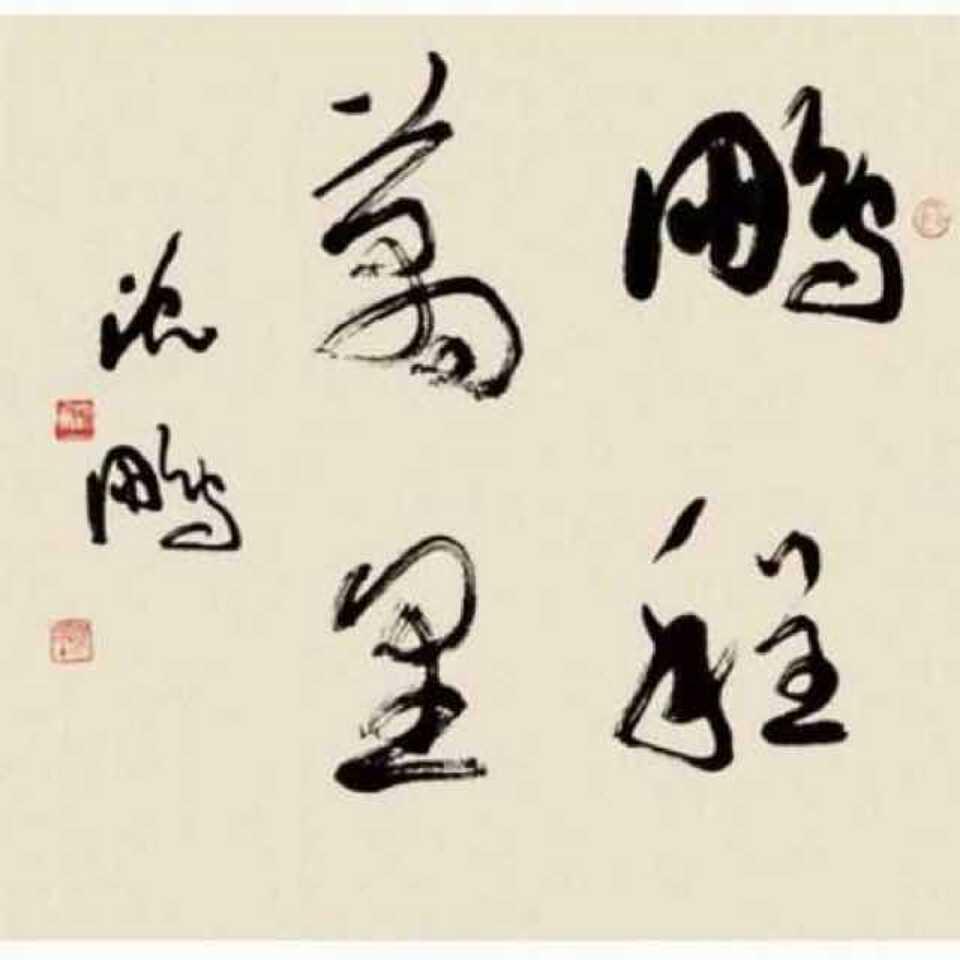 A万里鹏程5212