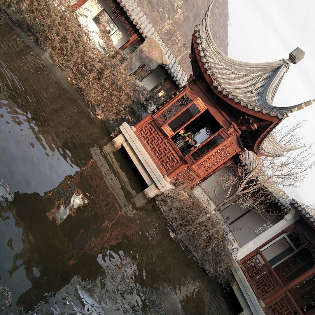 我心动过