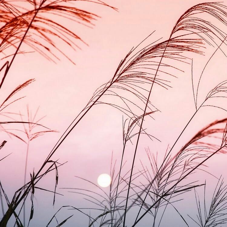 @青云家纺窗帘喜铺