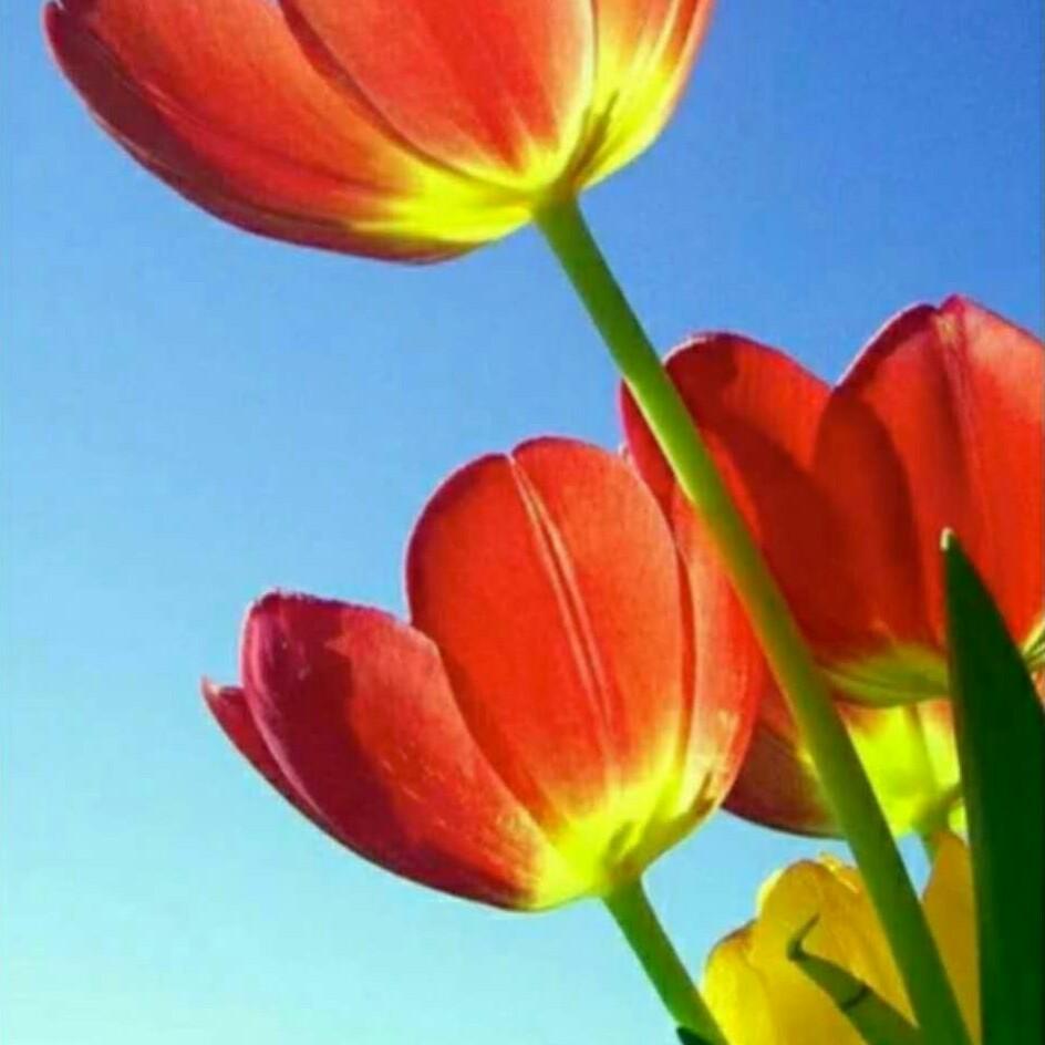 好人一生平安9fv1