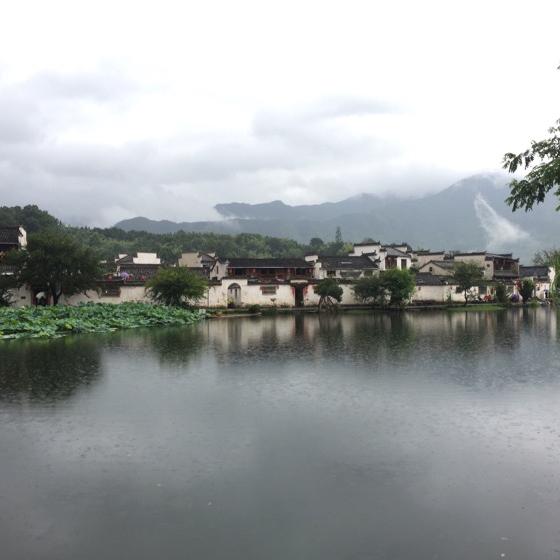 蒙尘素笔，花落随意