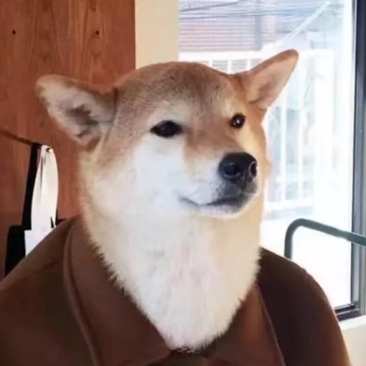 我睡的超快