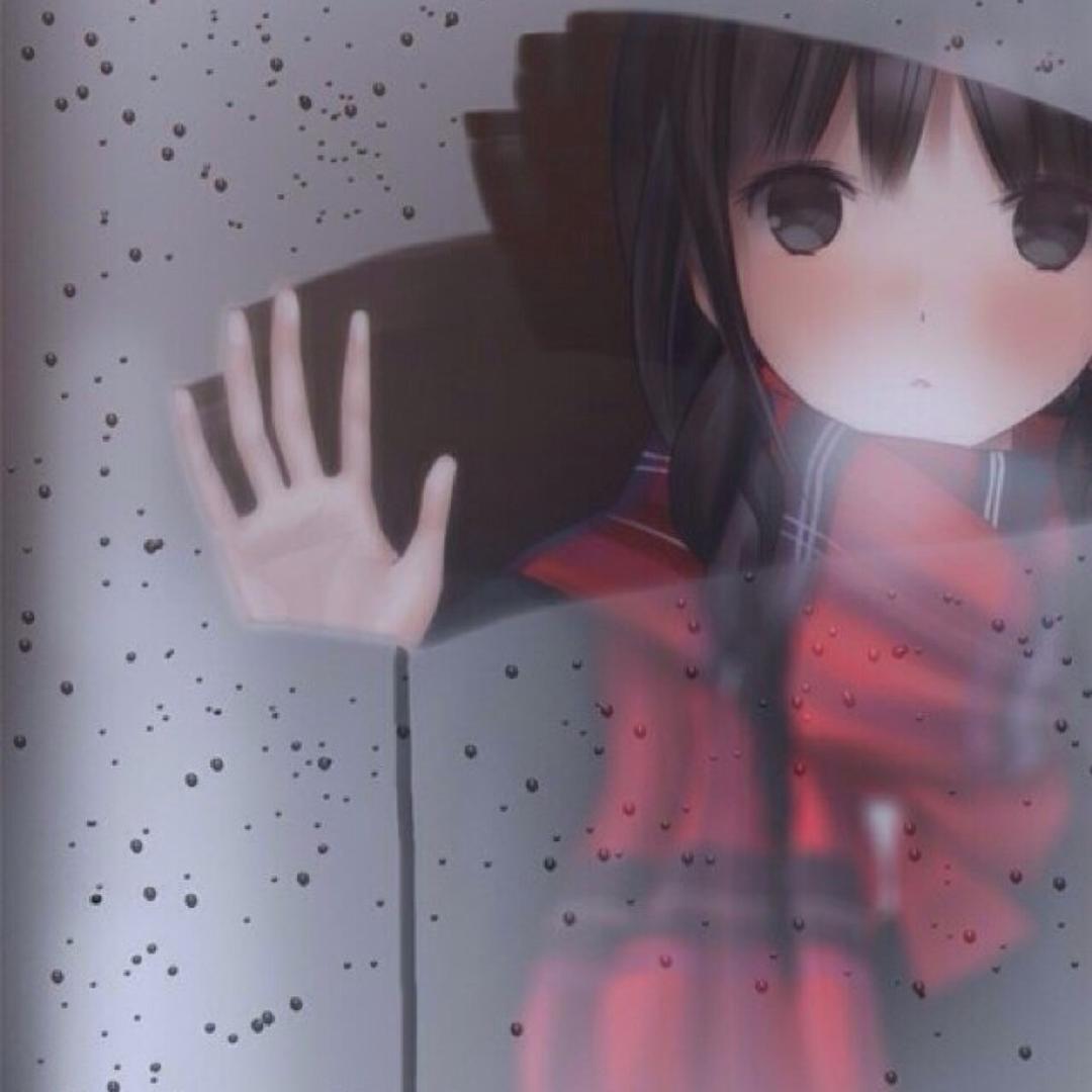 恋恋风尘