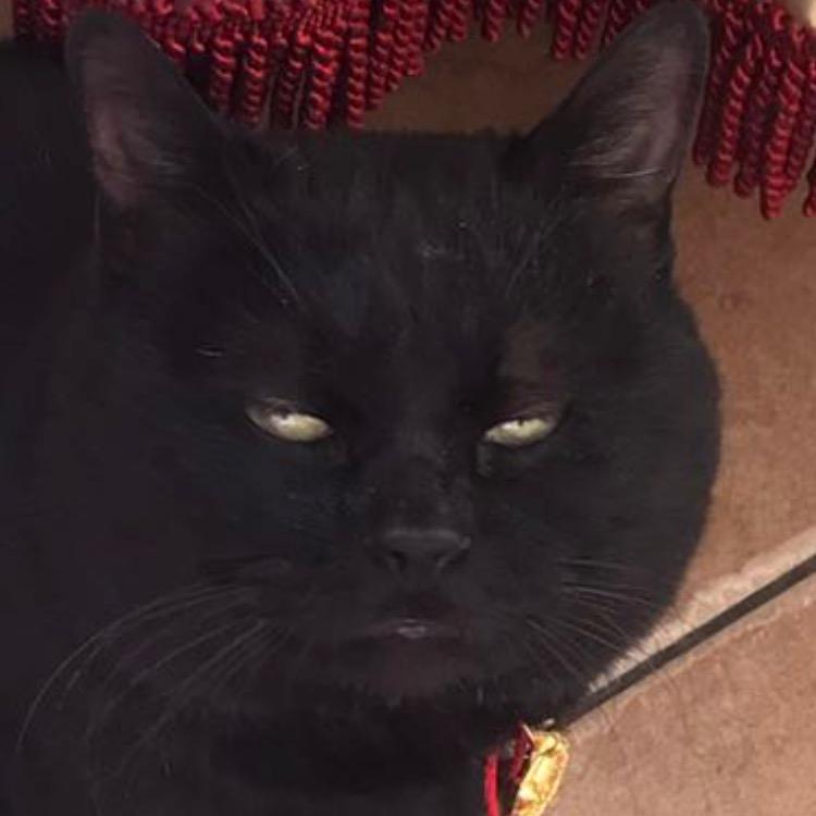 忘