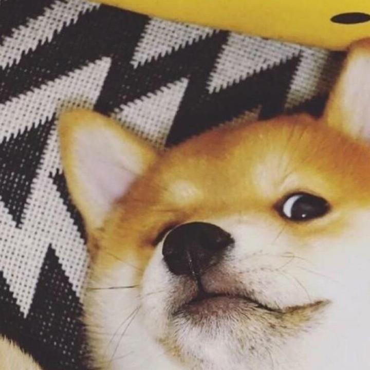 名字30天内可修改4次，