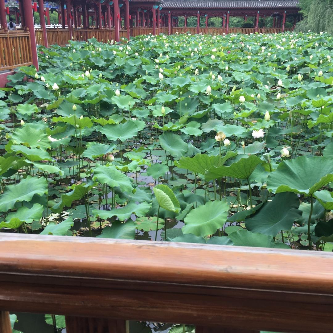 山水之间