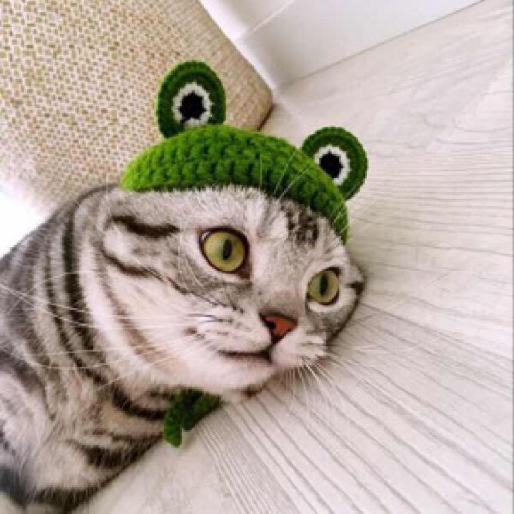 串串喵呜🐱🐱