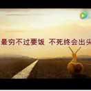 东北人称四哥