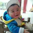 🐉忘记忧愁的🐷—小笨猪—🐷