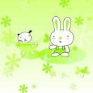 18岁的姗姗来迟