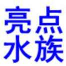 宋春雨亮点水族