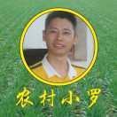 农村小罗