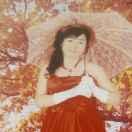 红玫瑰7192