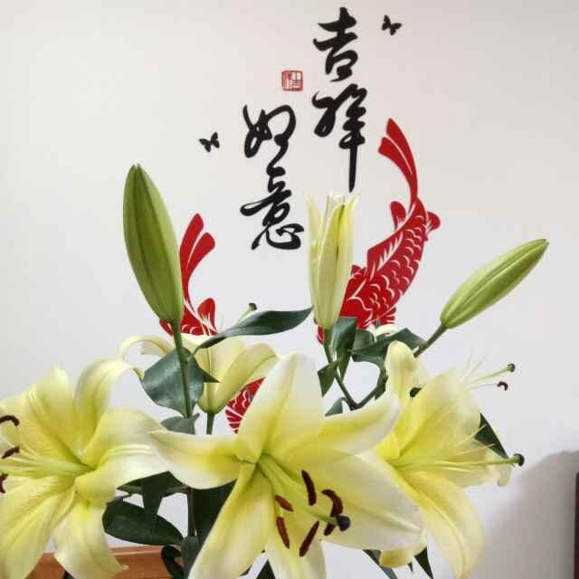 珊妹妹