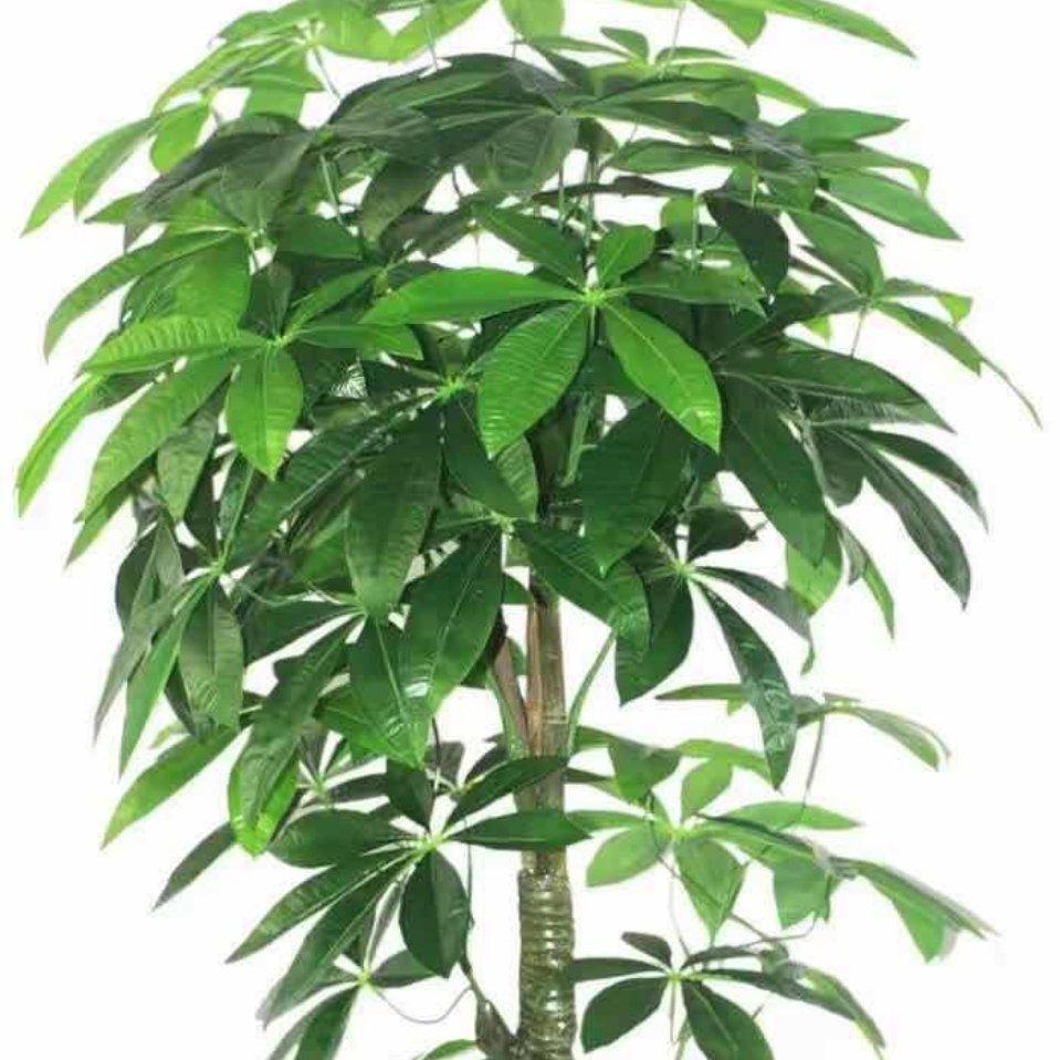 佳木斯荣原健康洗衣