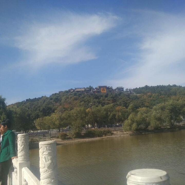 正在考驾照
