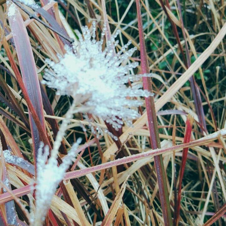 月缺不美却诗意