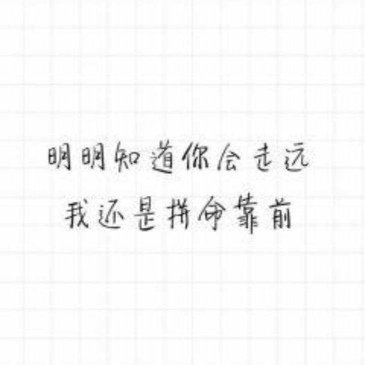 四叶草🍀