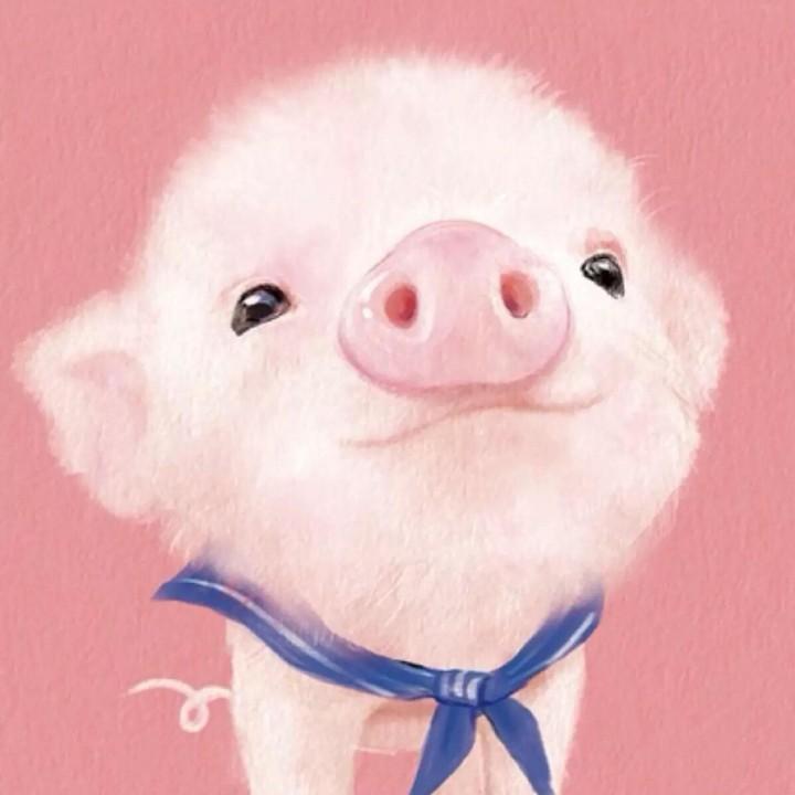 哈哈哈哈哈哈哈