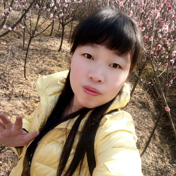 潇洒一生向日葵