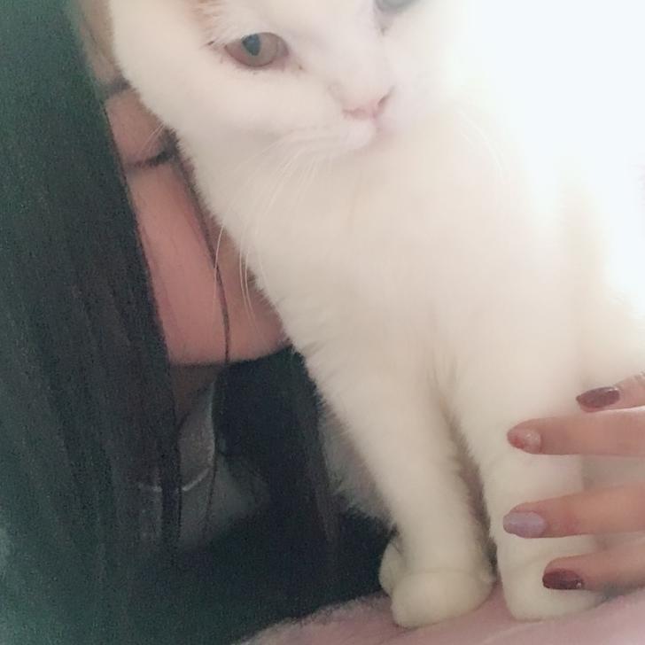 全世界最可爱的反派角色李可可