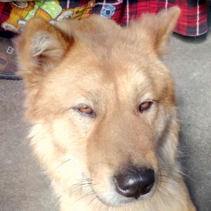 李二哥123877135077