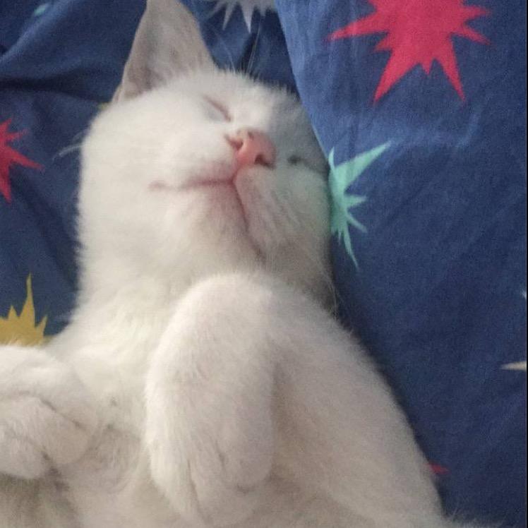 离