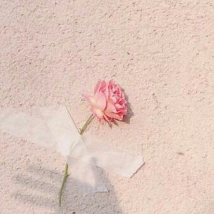 小芒果