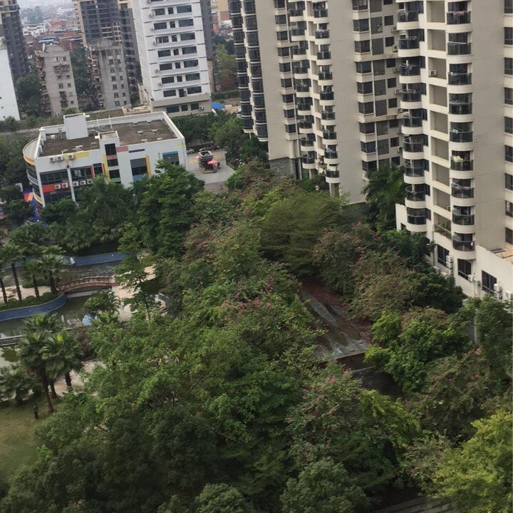 国会🐯