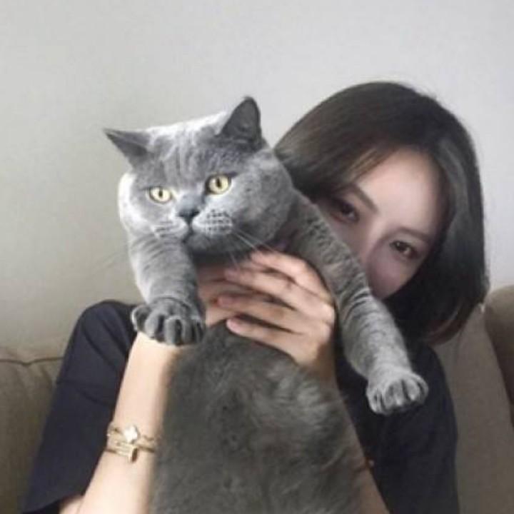小杨没烦恼~