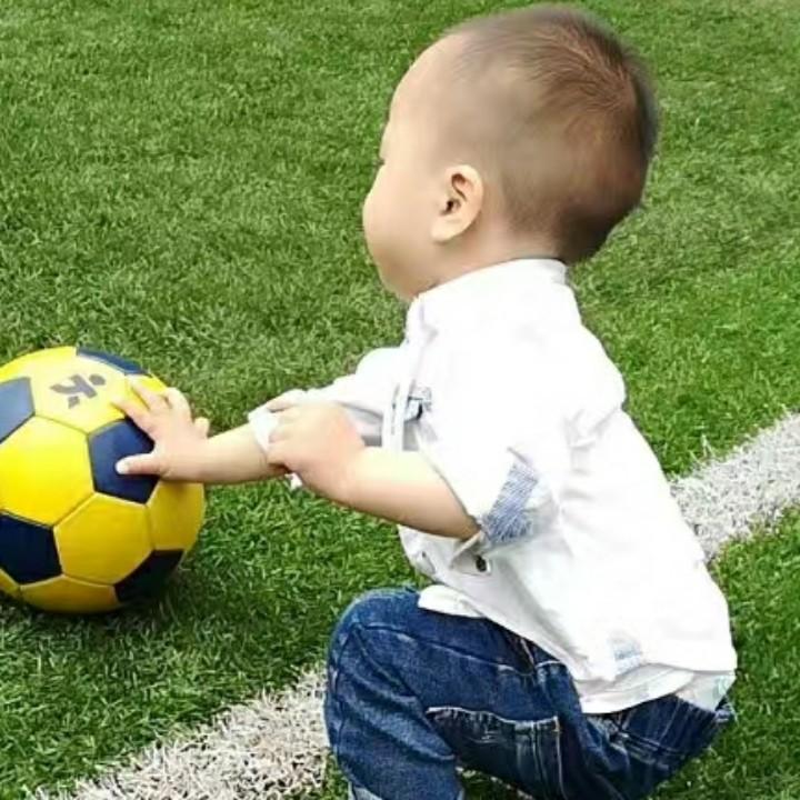禛宝贝