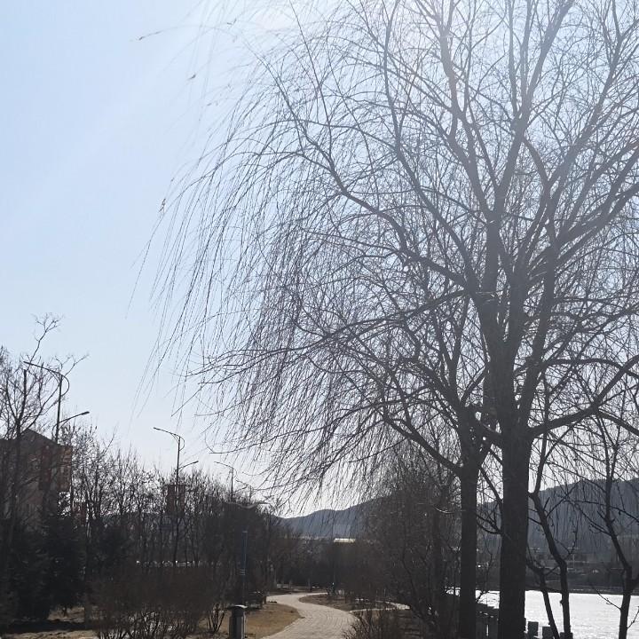 洴汮彝㮶PJYS