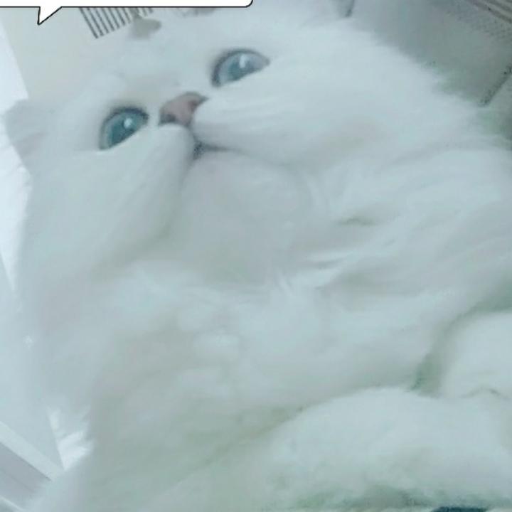 蒙德诺