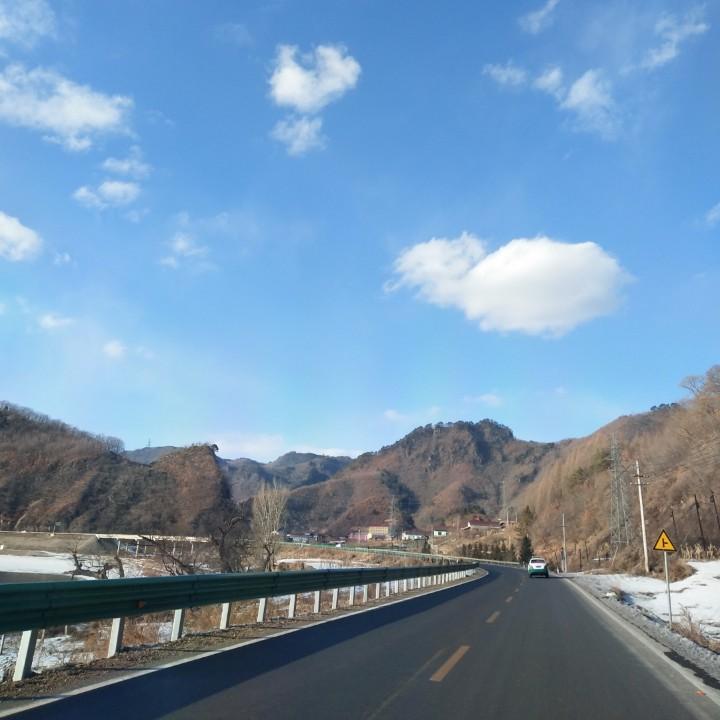 矫哥不红