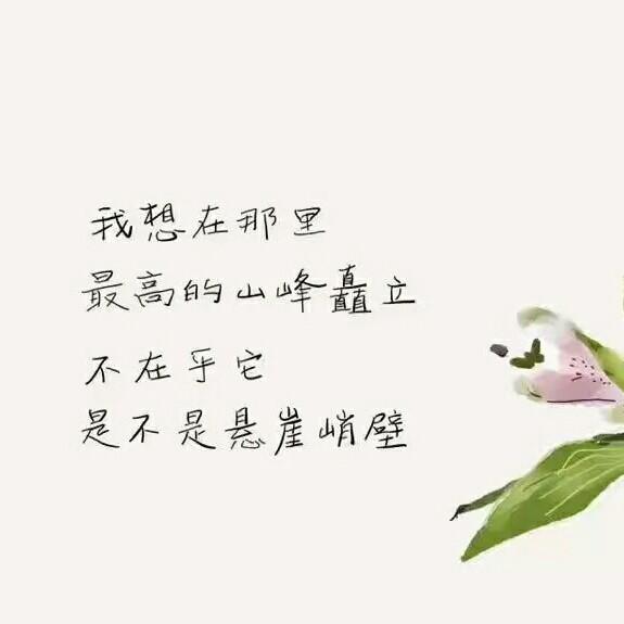 袁莱是你