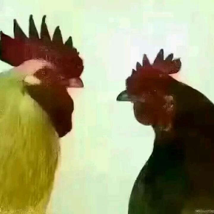 迟到
