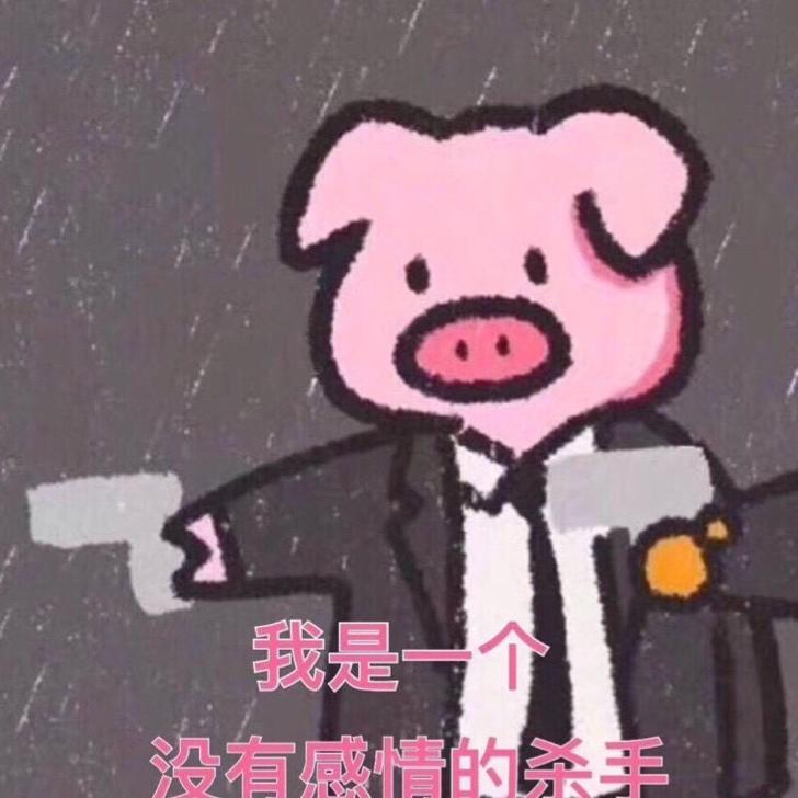 胖胖成长日记