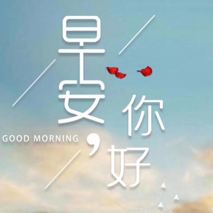 安安静静🍓🍓